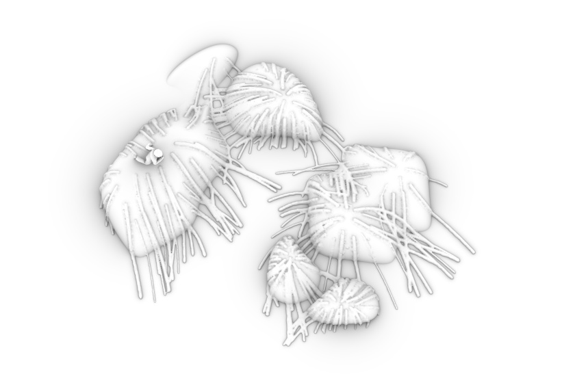 Kanozi Play Environment Mussels